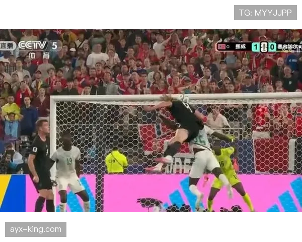 挪威3-2塞内加尔,哈兰德梅开二度帮助球队提前晋级 挪威3-2塞内加尔,哈兰德梅开二度帮助球队提前晋级
